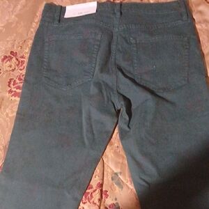 Ann Taylor Loft Jeans